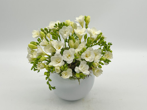 Aranjament 35 de frezii albe